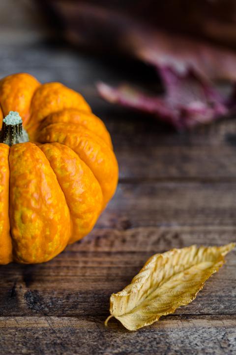 Cute thanksgiving wallpaper