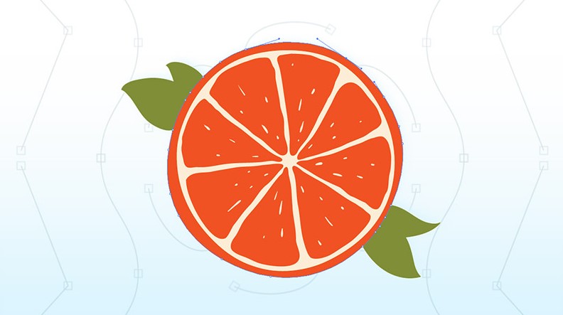 Photoshop and Illustrator