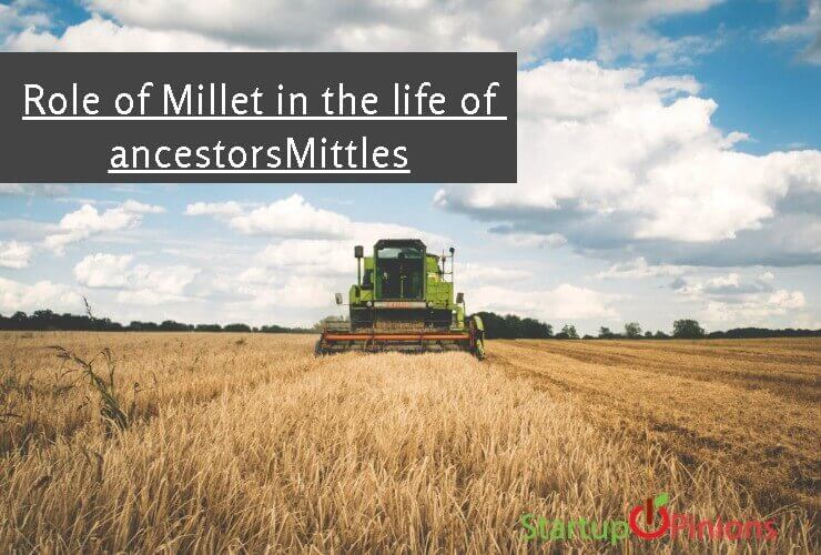 Millet