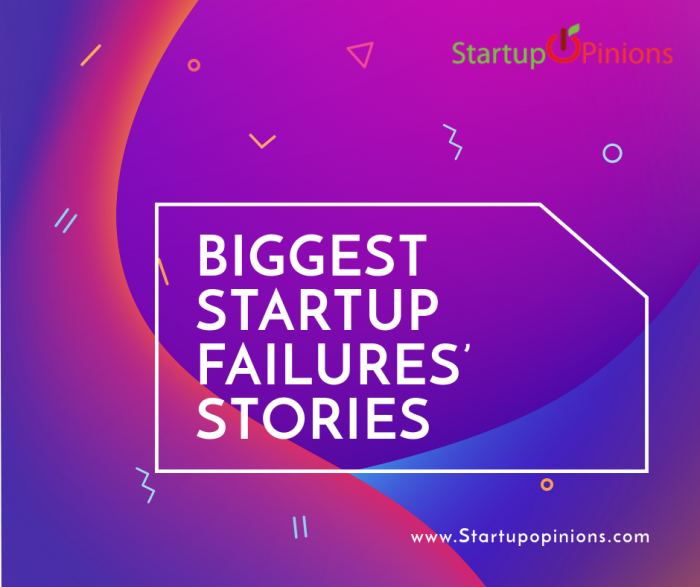 Biggest startup failures’ stories