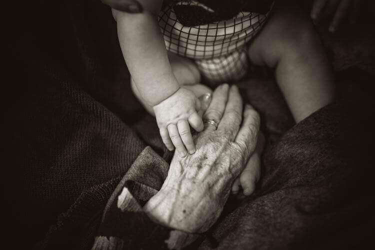 Nanny Business
