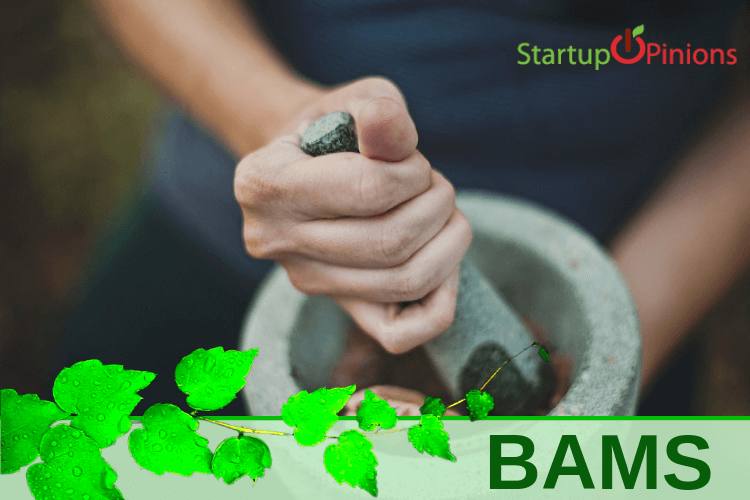 bachelor of ayurvedic medicine and surgery