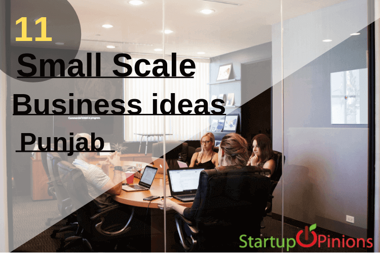 business ideas in punjab