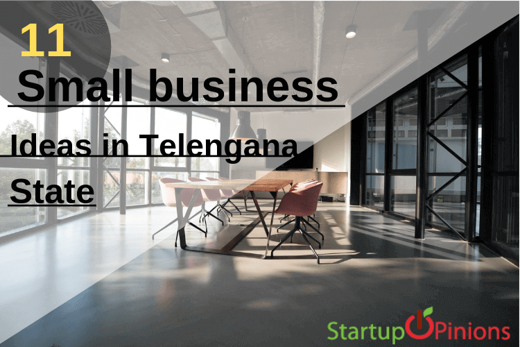 business ideas in telangana
