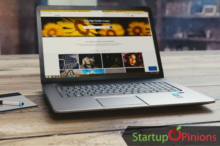 Website designer
