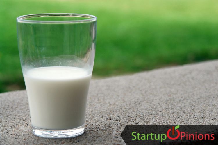 Coconut Business Ideas