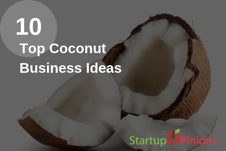Coconut Business Ideas