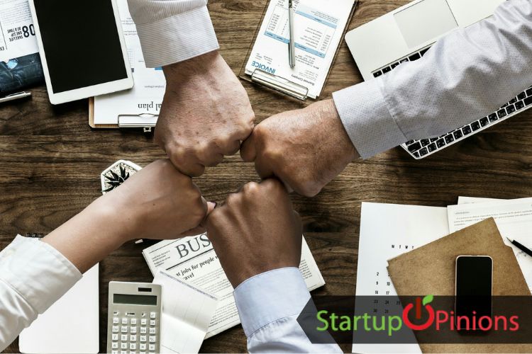 Online Toy Selling Business