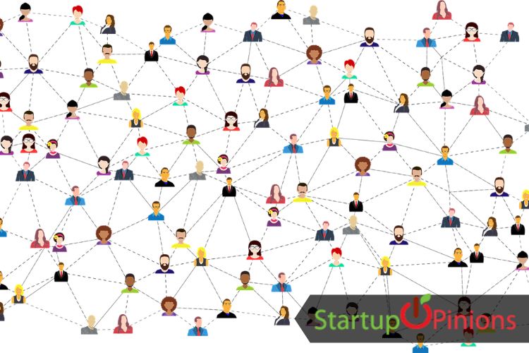 Online Toy Selling Business