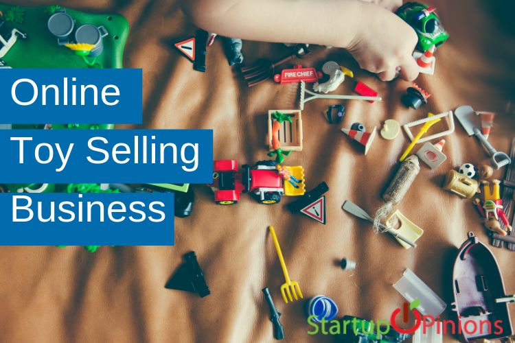 Online Toy Selling Business