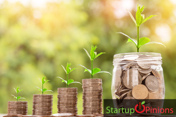 Plastic Waste Recycling Plant