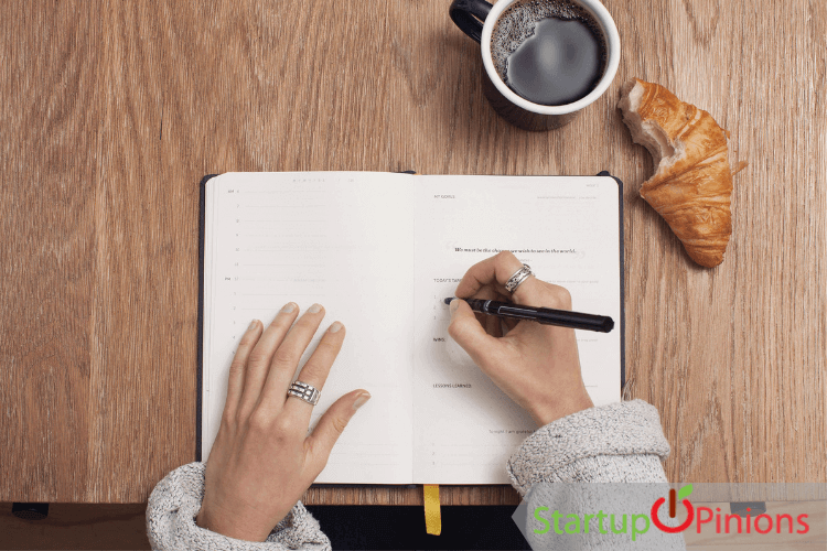Freelance Content Writing
