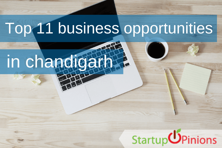 new business ideas in chandigarh