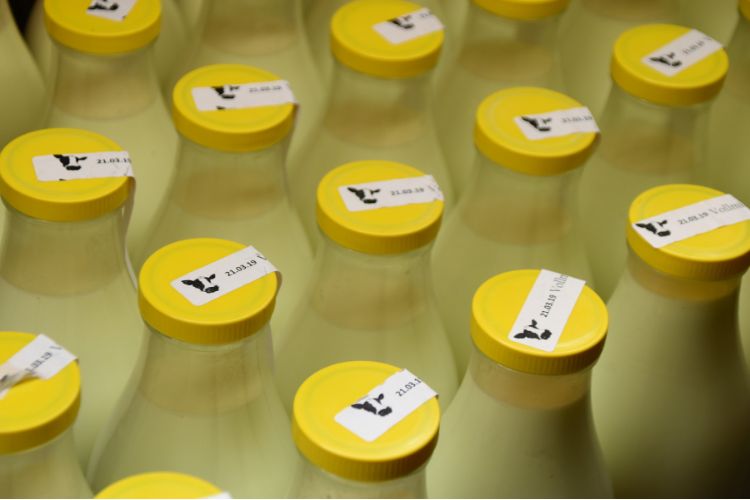Milk distribution business