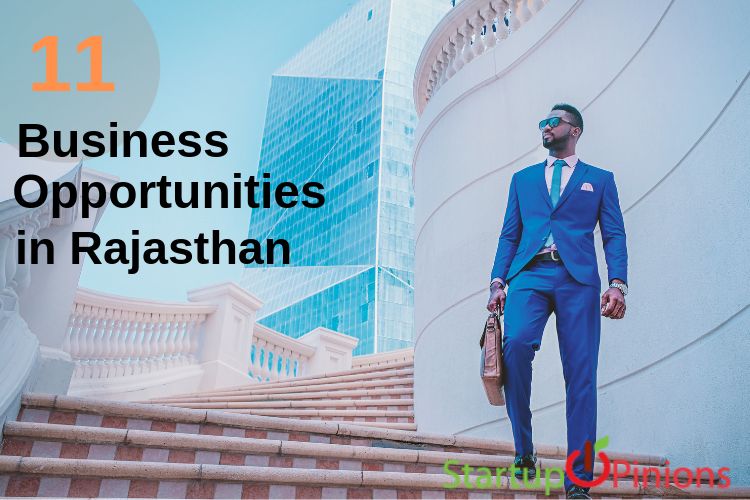 small business ideas in rajasthan