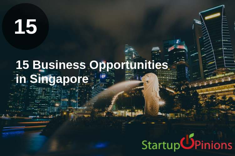 Business Opportunities in Singapore