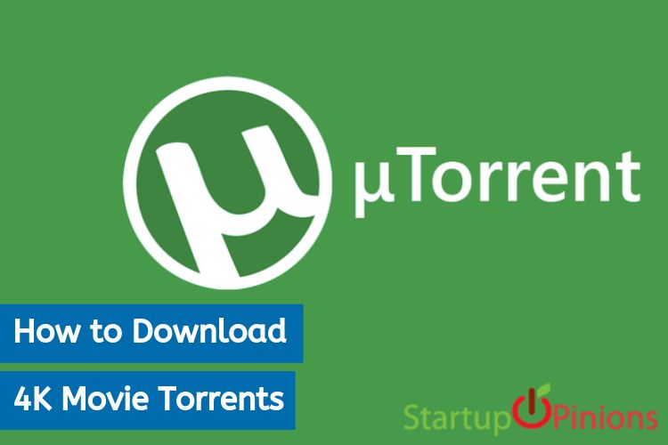 How to Download 4K Movie Torrents