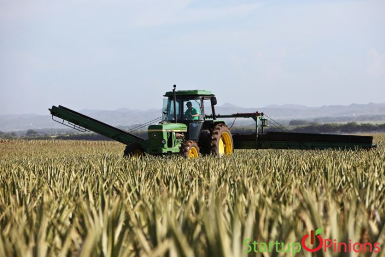 Starting Aloe Vera Farming Business