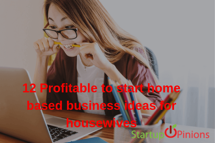 small business ideas for housewives