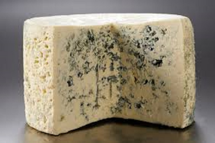 Cheese