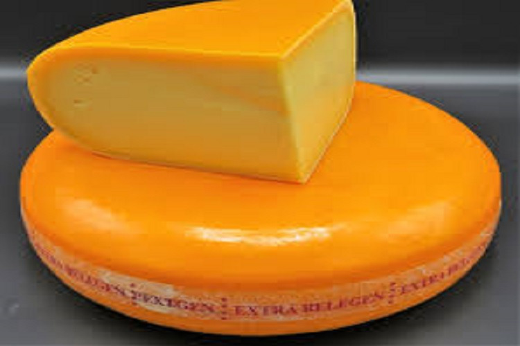 Cheese