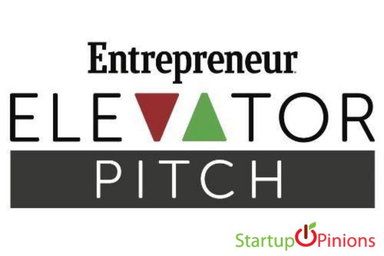 business pitch definition