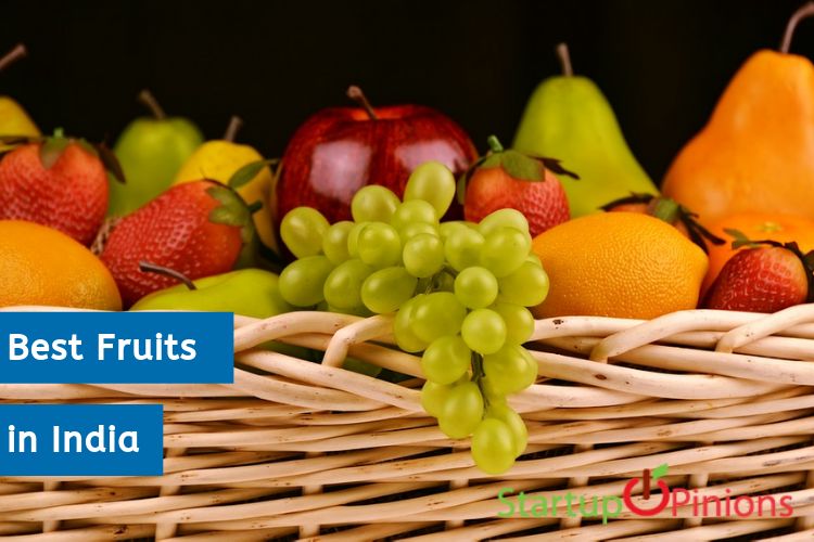 seasonal fruits in india