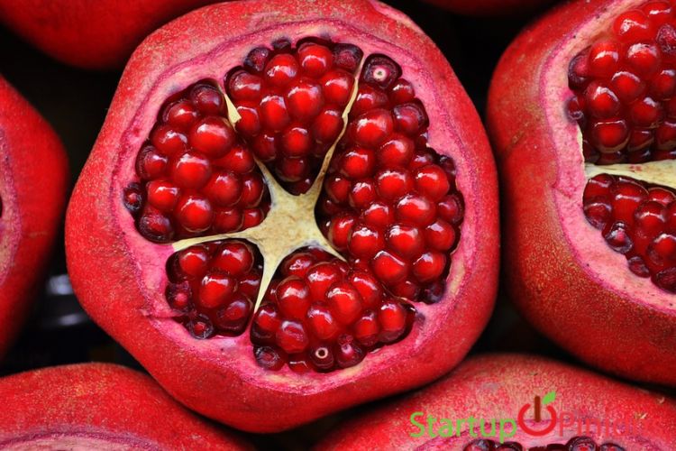 seasonal fruits in india
