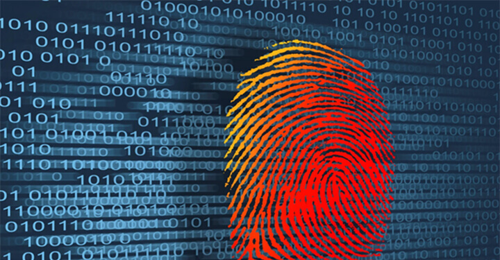 Trust and Safety for the Online Identity Verification