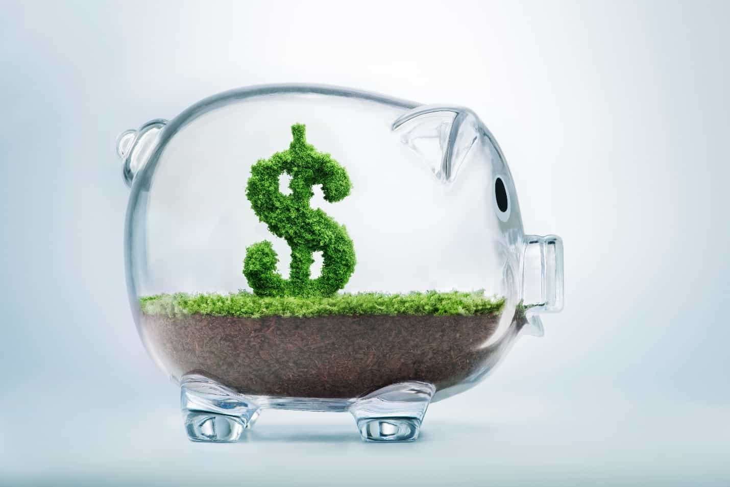 ULIPs is Where Your Money Grows and is Protected
