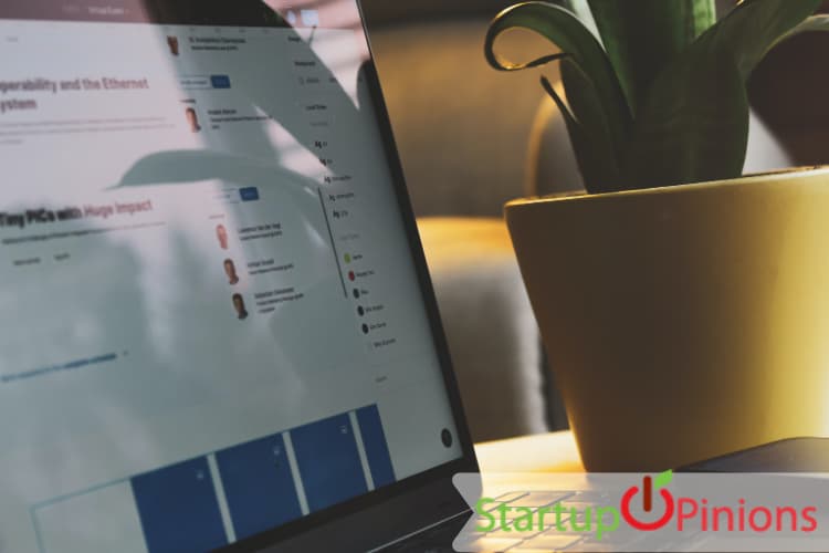 Learn a New Language Online