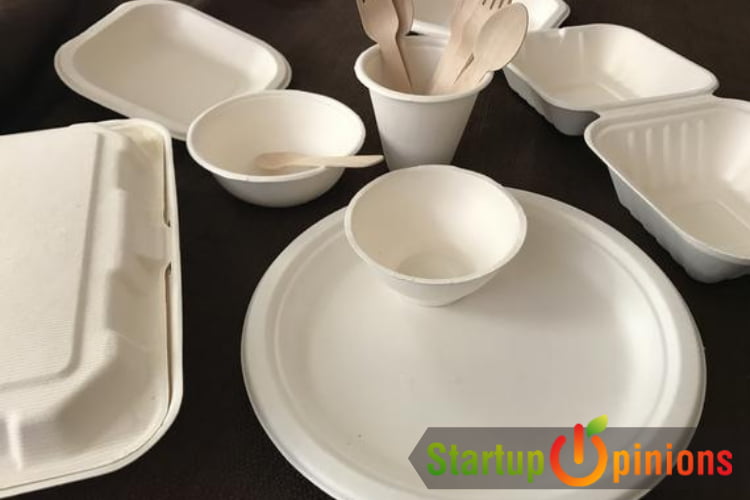 Bagasse Tableware