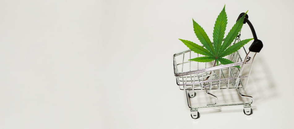 Cannabis