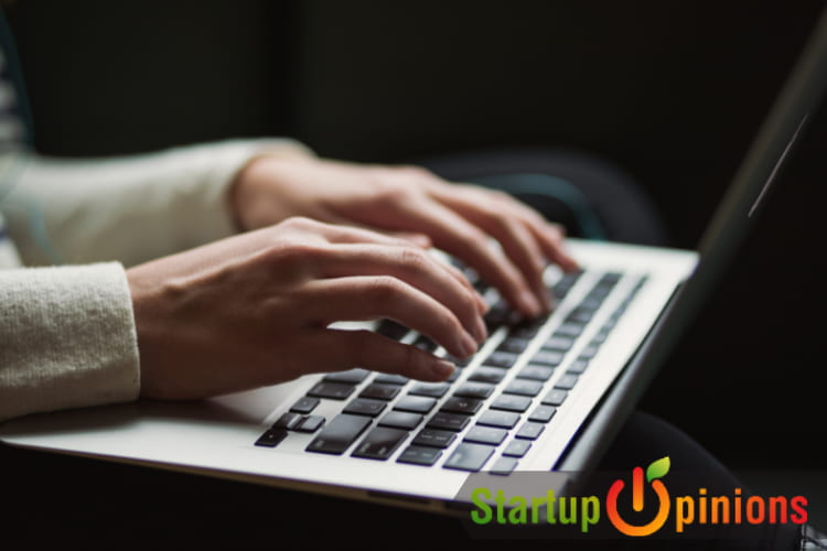 content writer
