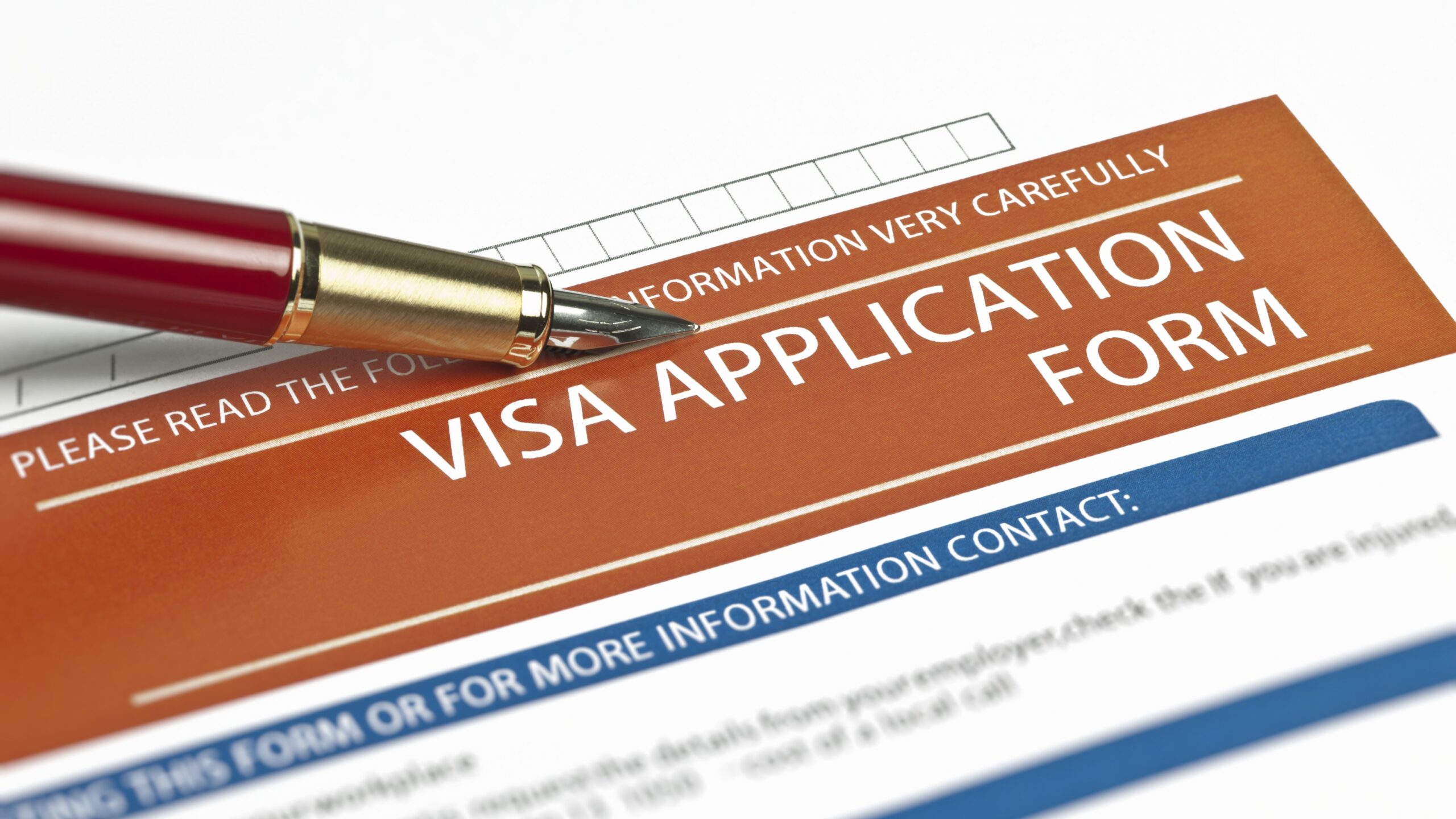 visa application form