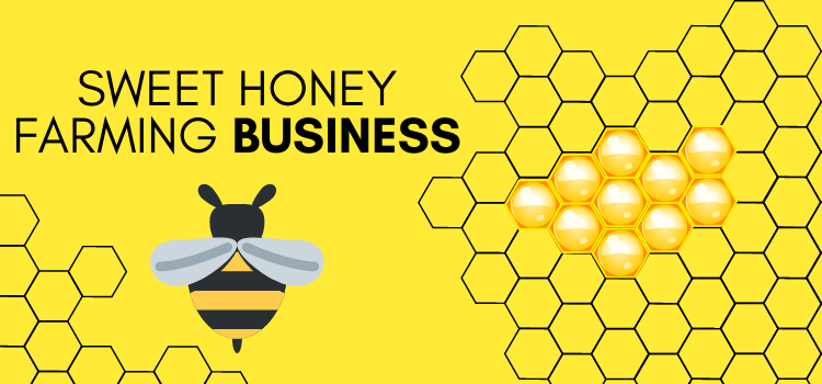 Honey Farming Business