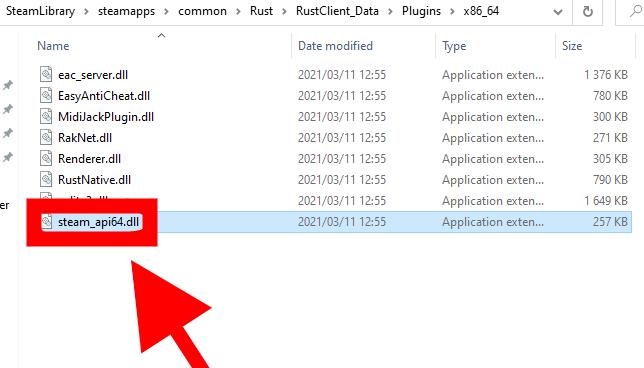 steam_api64.dll file