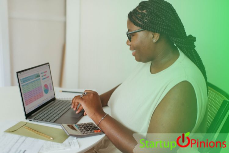 Entrepreneurs working from home