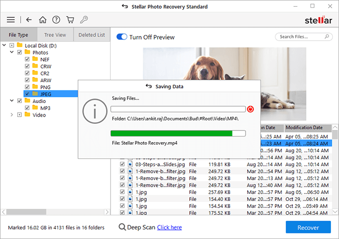 stellar photo recovery save file